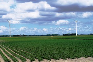 TV_12_3_pale_eoliche